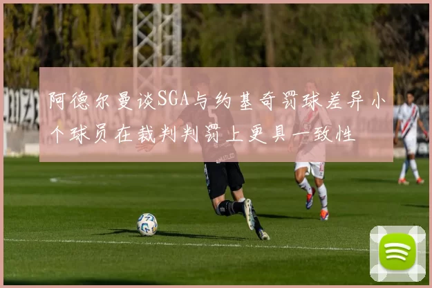 阿德尔曼谈SGA与约基奇罚球差异小个球员在裁判判罚上更具一致性