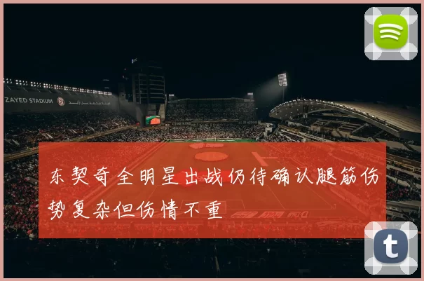 东契奇全明星出战仍待确认腿筋伤势复杂但伤情不重